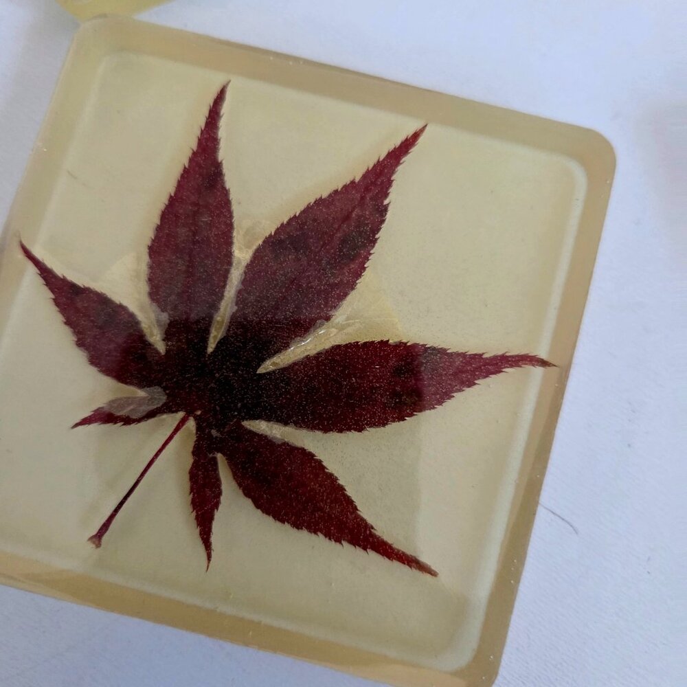 Set of 4 vintage handmade Lucite coasters with dry pressed leaves. - Picture 2 of 8